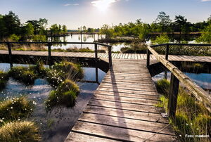 Schneverdingen - Kreuzung-Bohlenstege-im-Pietzmoor