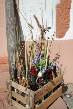 Maikammer - IMG_5419_Gareis