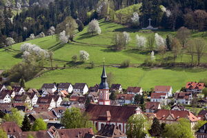 Waldkirch - Frühling-25_4_2013-Jürgen-Gocke-(39)