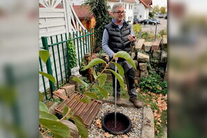 Herbsttagung 2018 in Maikammer - Wein wie vor 1000 Jahren Winzer Steffen Mugler