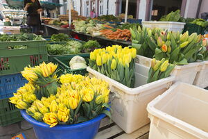 Waldkirch - Wochenmarkt 17_4_2013 Jürgen Gocke (08)