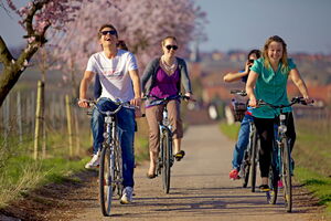 Deidesheim - Freizeit_Rad