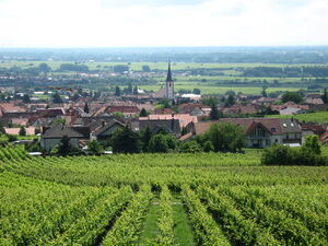 Maikammer - Blick-Maikammer2