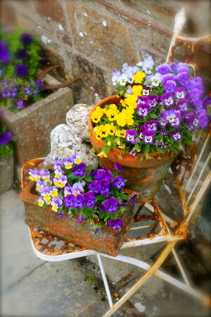 Maikammer - IMG_0970_Gareis