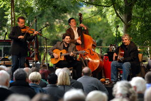 Michelstadt - Musiker-in-Stadtgarten_Musiknacht